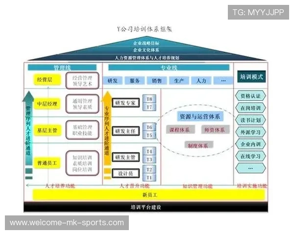 职业选手的职业发展路径